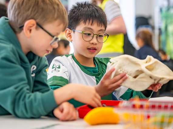 Two children sit at a table at a museum workshop. One child is holding the cast skull of an animal.