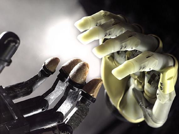 An image of prosthetic hands.