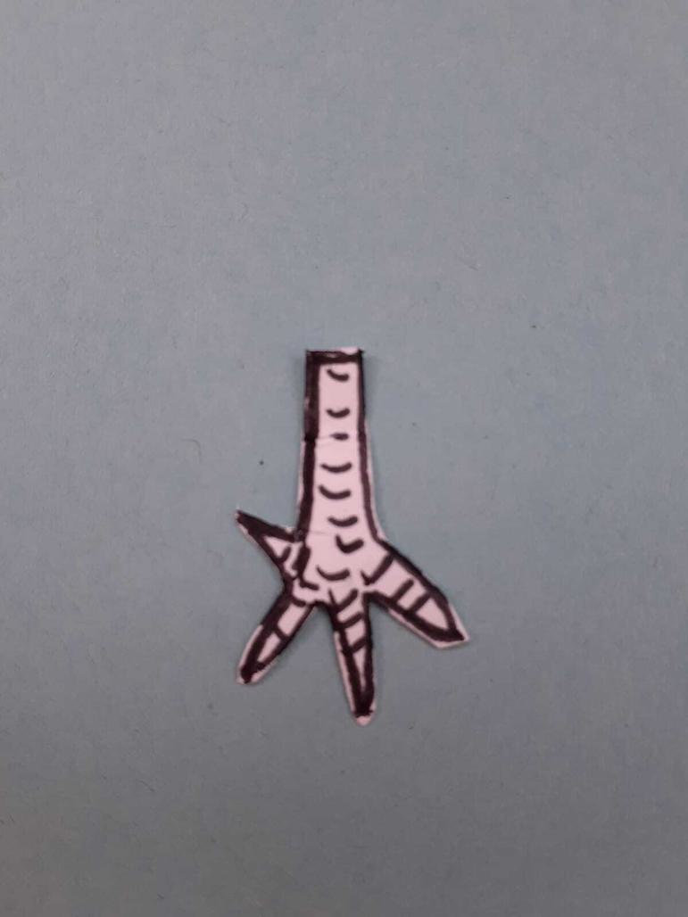 Paper cut outs of bird feet.