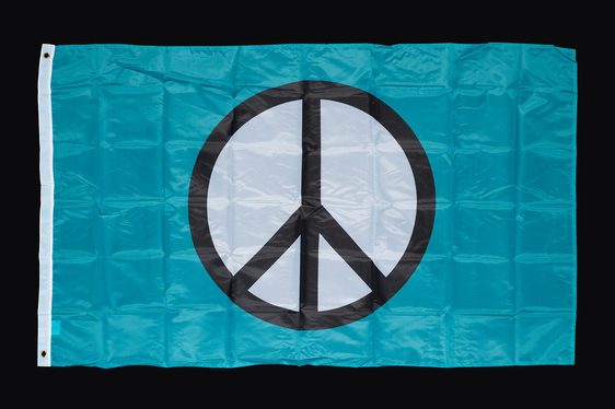 Light blue flag a black and white peace symbol in the centre.