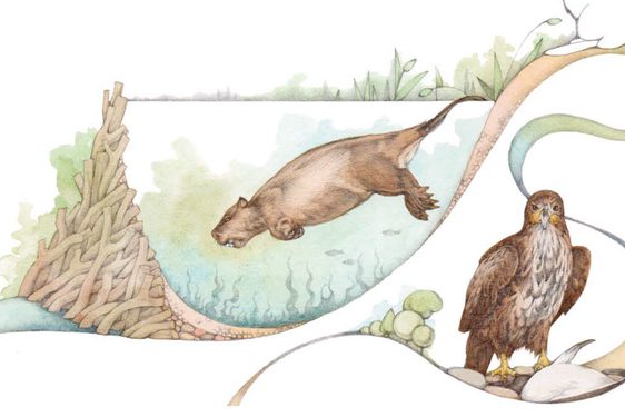 A pictorial drawing of two animals in different poses: one in motion and a bird staring straight ahead.